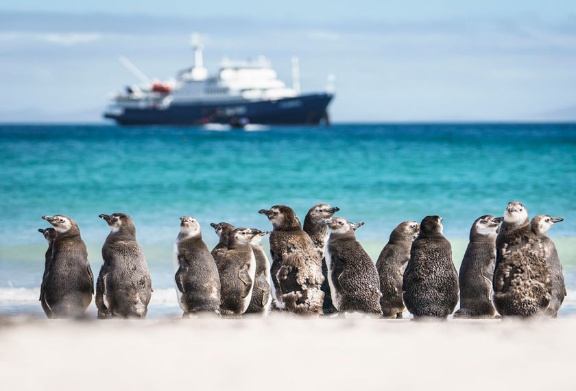 Cruceros Antartida - Malvinas,Georgia,Antartida<br>M/V Ortelius<br>M/V Plancius<br>M/V Hondius