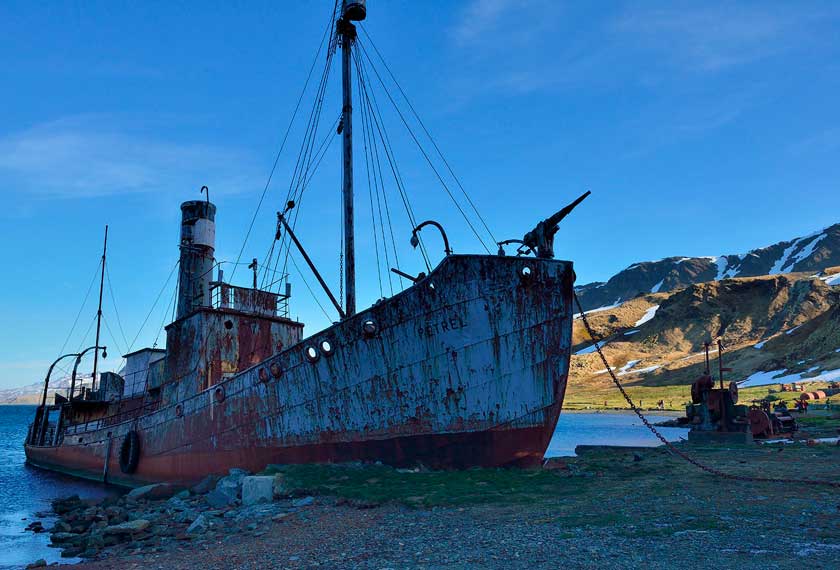 Cruceros Antartida - Malvinas,Georgia,Antartida<br>M/V Seaventure