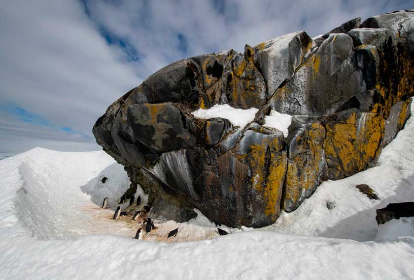 Cruceros Antartida - Odisea Atlántica-Antártica<br>Ushuaia-Cabo Verde/<br>M/V Hondius