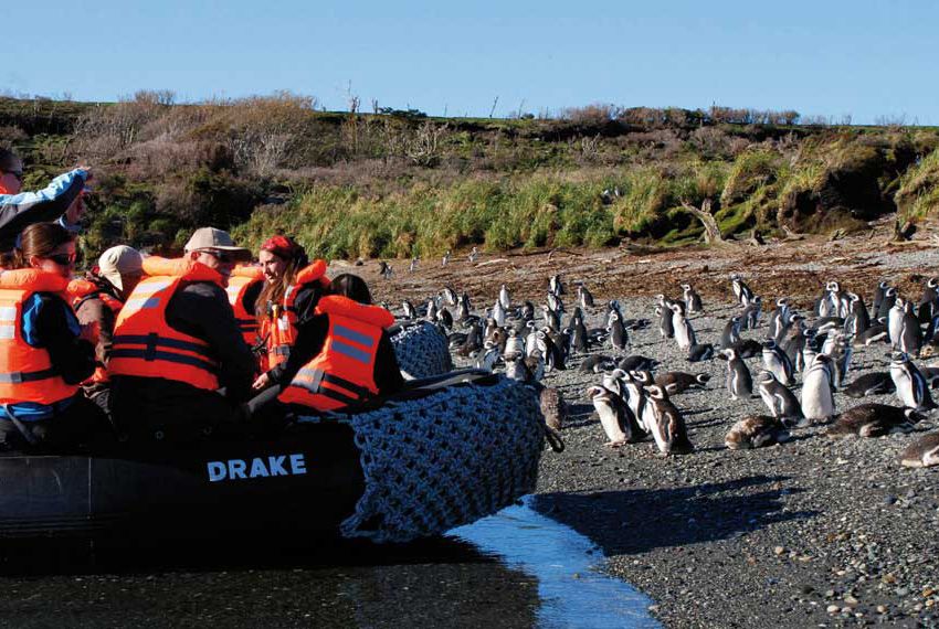 Cruceros Patagonia - Australis 5 días <br />De Punta Arenas a Ushuaia <br /> Fiordos Tierra del Fuego
