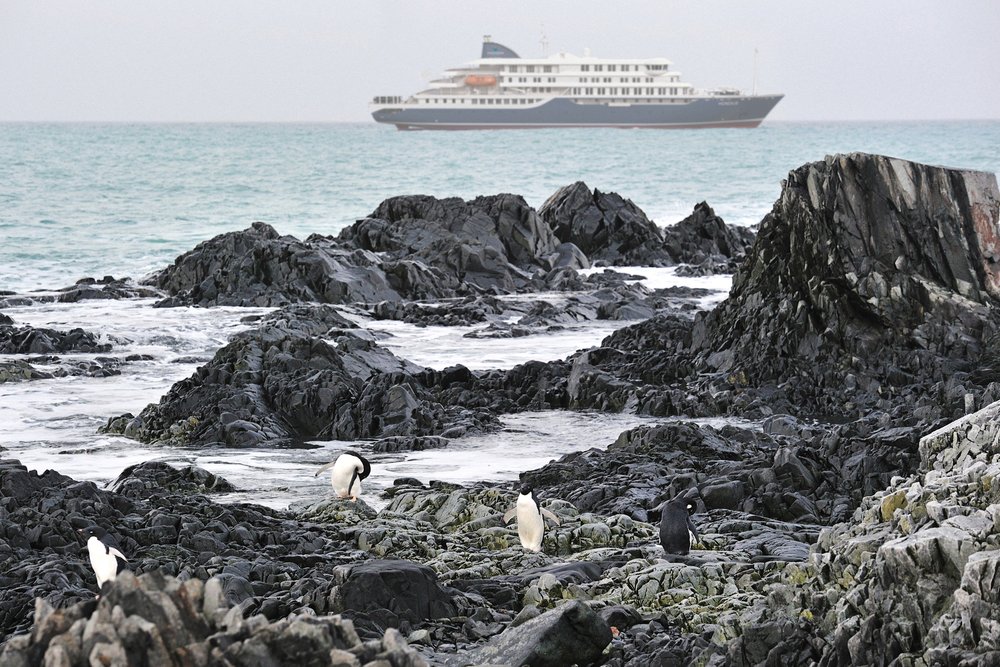 M/V Hondius