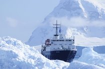 M/V Ortelius
