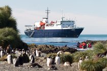 M/V Ortelius