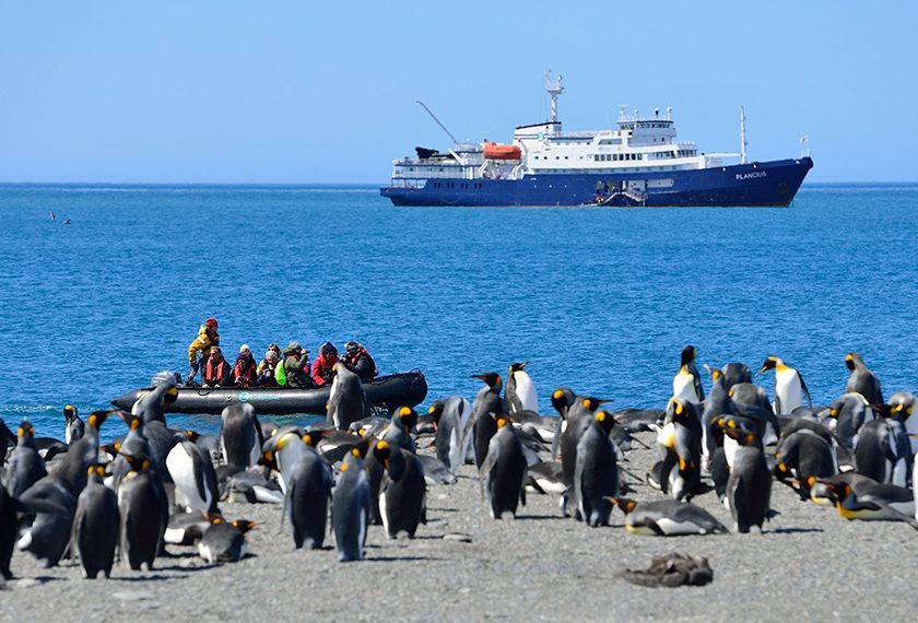 M/V Plancius