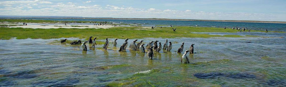 Tours por Patagonia - Ruta Azul Patagonia